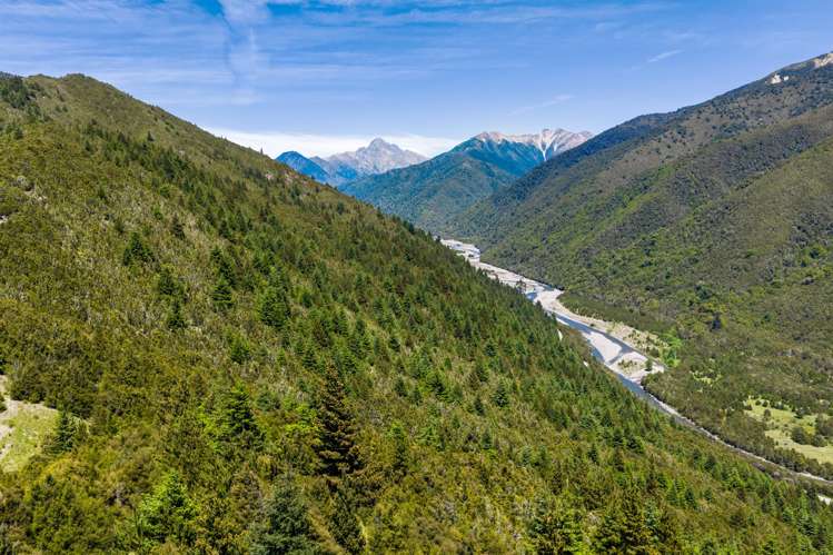 Leatham Road Wairau Valley_26