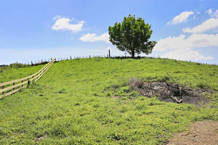 Lot 2/211 St Leger Road Te Awamutu_2