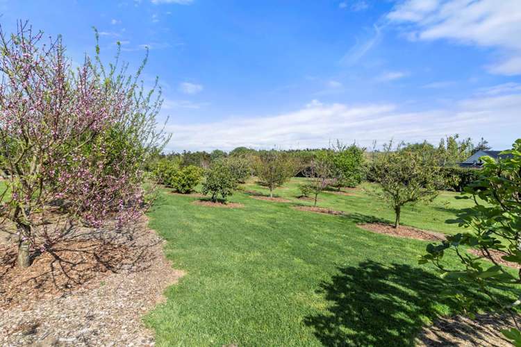 64 Hawthorne Lane Kingseat_29