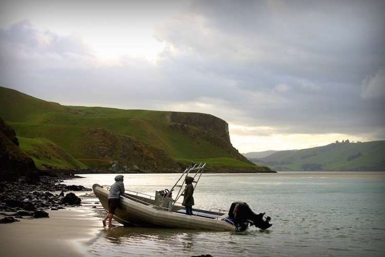 297 Cape Saunders Road Cape Saunders_13