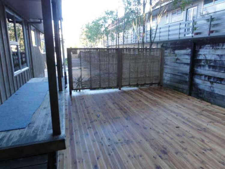 12a Opoia Road Hamilton East_2