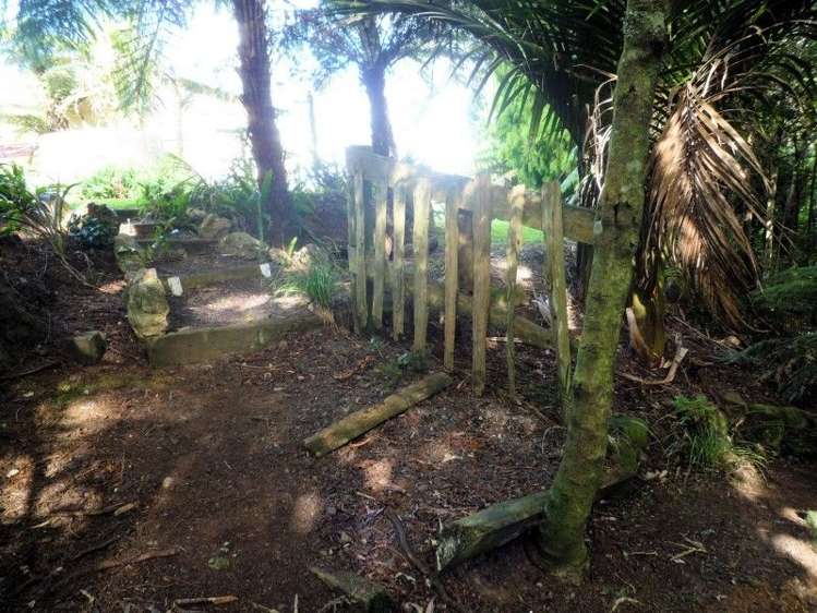 21 Punga Place Whitianga_32