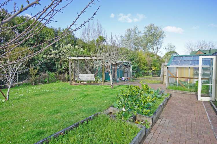 223 Pine Valley Road Dairy Flat_14