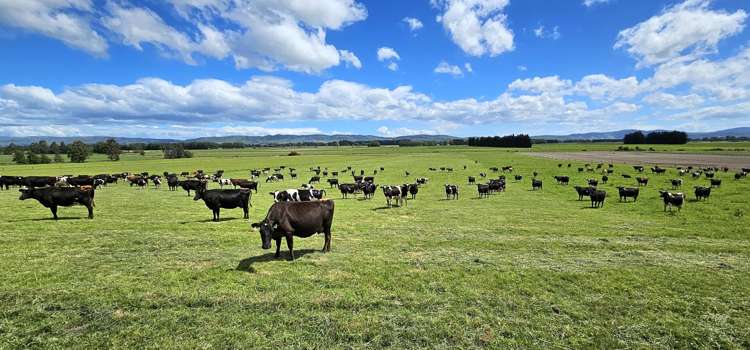 236 Walker Road Lumsden Surrounds_1