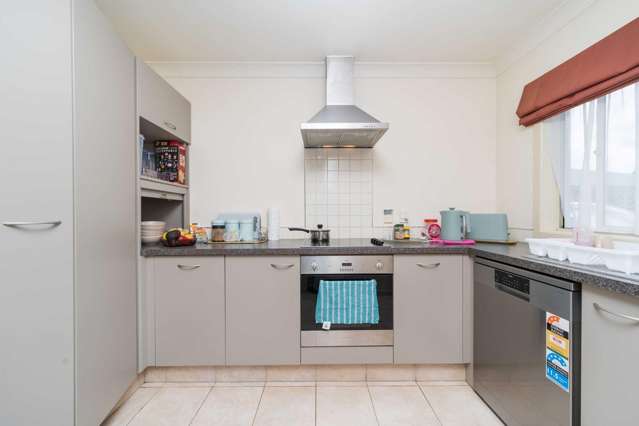 24a Reeve Street Levin_3