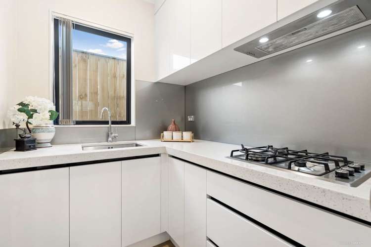 29 Tir Conaill Avenue Flat Bush_4