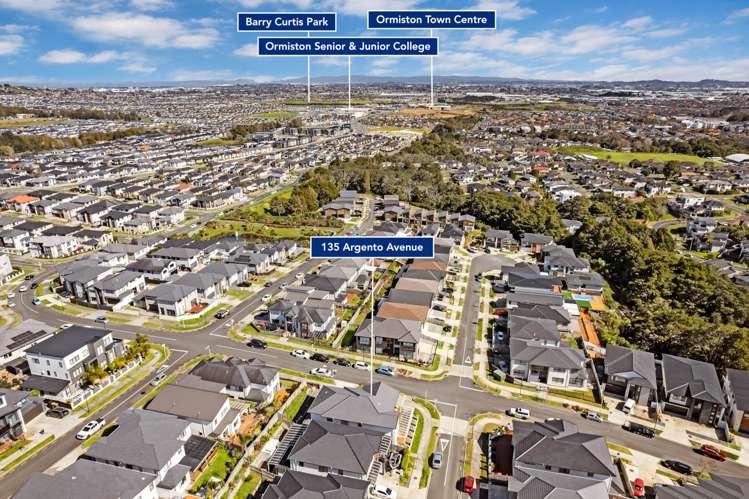 135 Argento Avenue Mission Heights_23