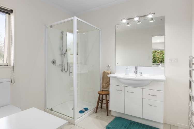 190d Lonely Track Road Dairy Flat_12