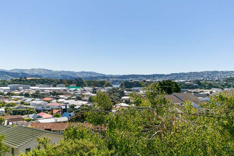 87 Otaki Street Miramar_15