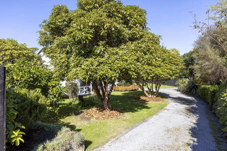187B Tamamutu Street Hilltop_23