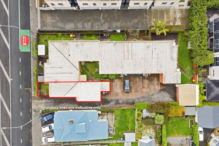 116 Manukau Road Epsom_14