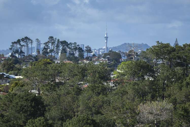 2 Shearwater Rise Rothesay Bay_11