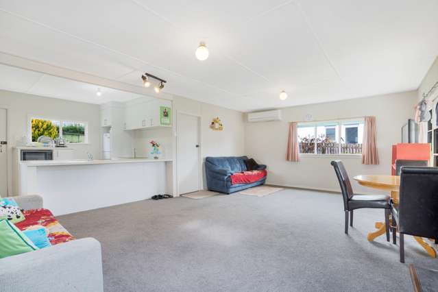 168 Upton Street Wanaka_2