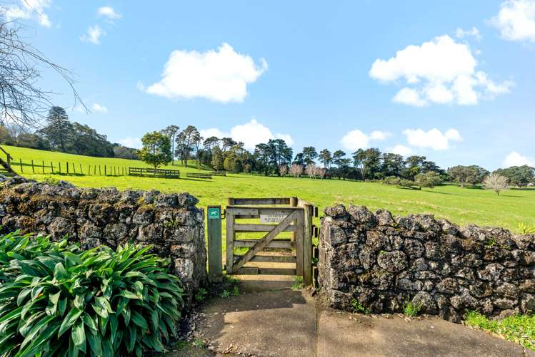 51 Raurenga Avenue Royal Oak_18