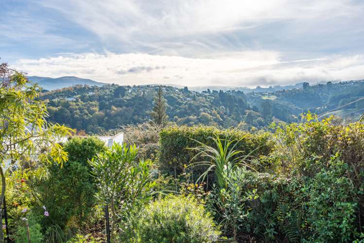 73 Craigleith Street North East Valley_21