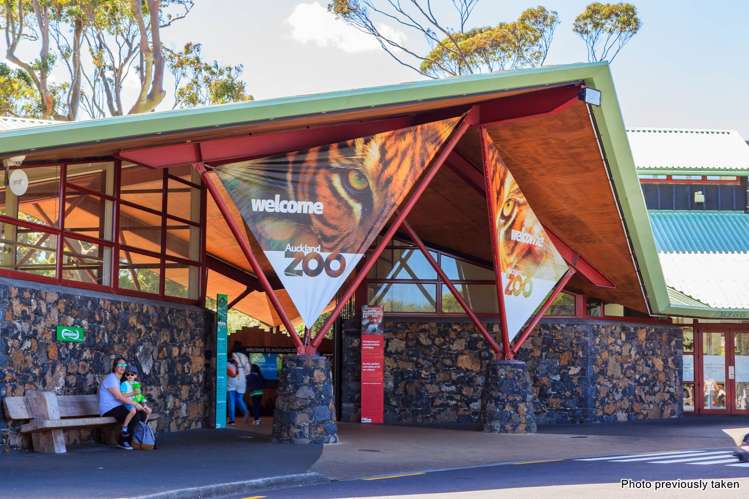 1,2,3/1038 Great North Road Pt Chevalier_30