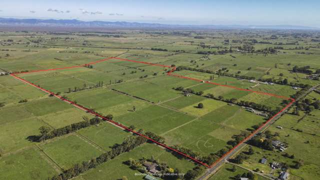Receivership dairy farm
