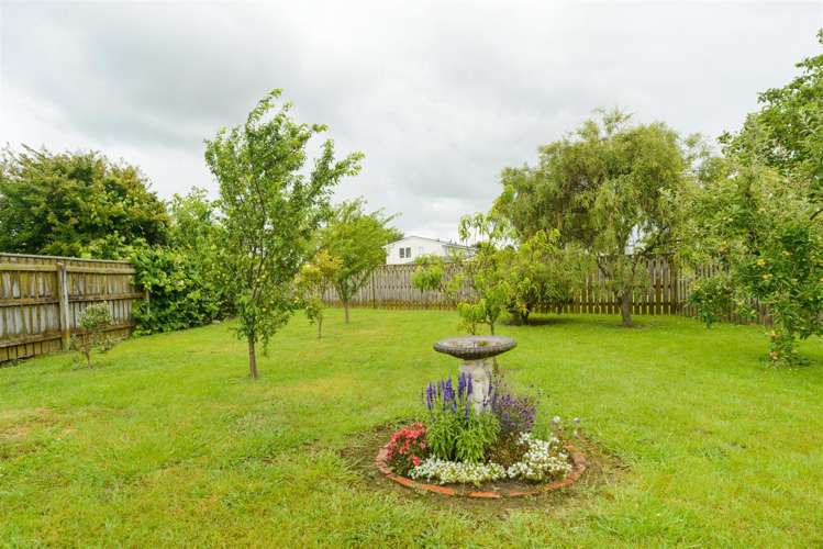 27 Holland Crescent Bulls_27