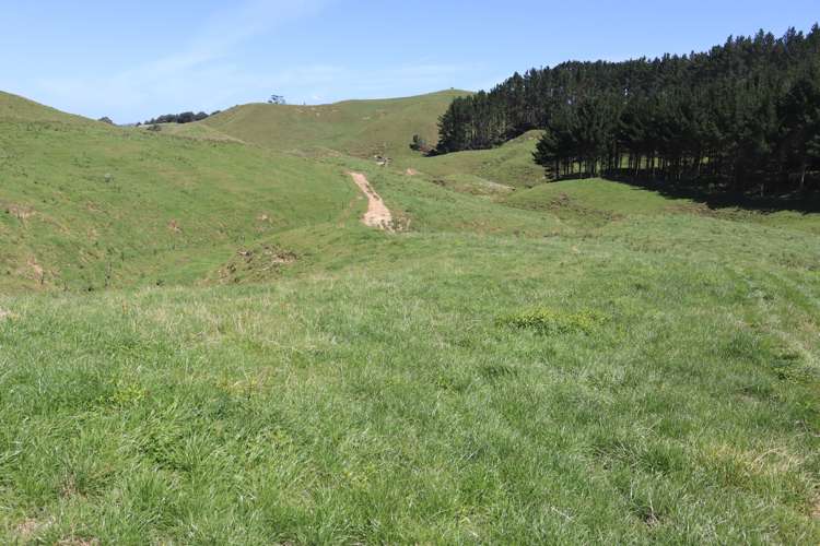 102 Manu Road Te Popo_25