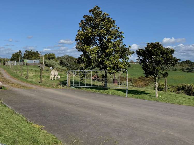 124a Mountain Road Sentry Hill_20