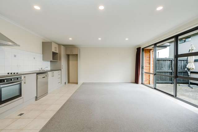 43B Campbell Street Frankton_1