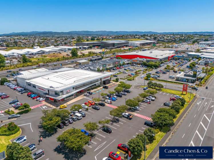 Lot 4/82 Gifford Avenue Mount Roskill_31