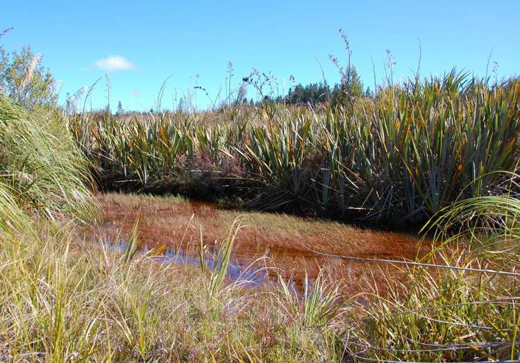 28 Erua Road National Park_8