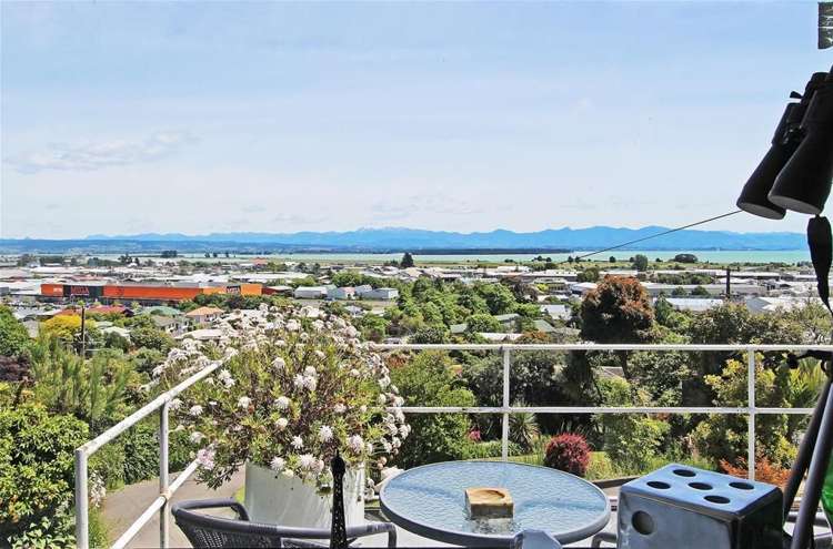 14 Douglas Road Wakatu_13