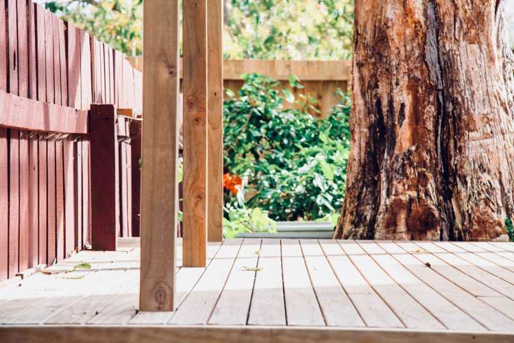 65b Asquith Avenue Mount Albert_28