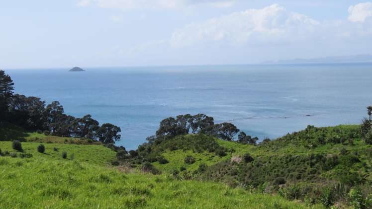 Lot 1/106 South Pacific Road Rakino Island_6