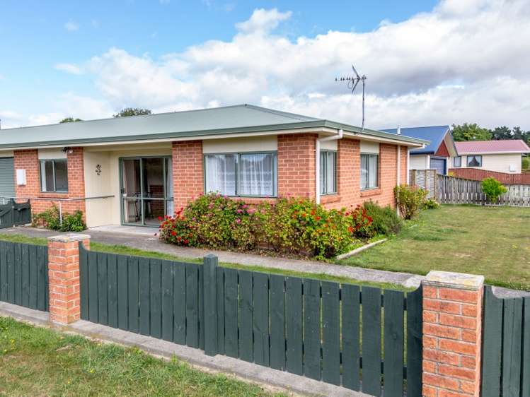30 Millard Avenue Masterton_15