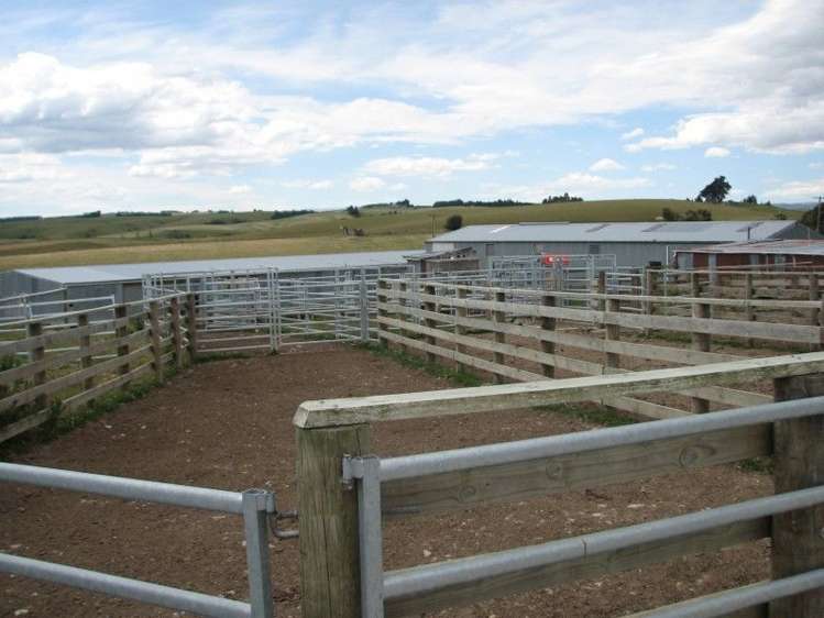 1463 Tuapeka West Road Lawrence_3