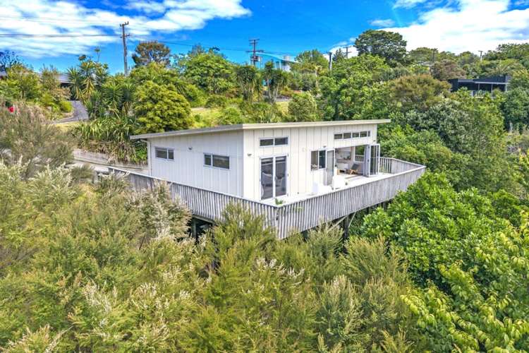 10 Scott Road Tamaterau_3