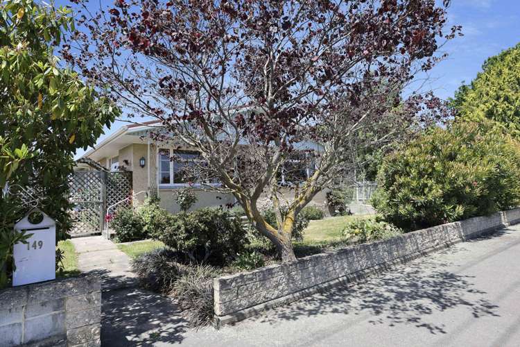 149 Thomson Street Tinwald_21