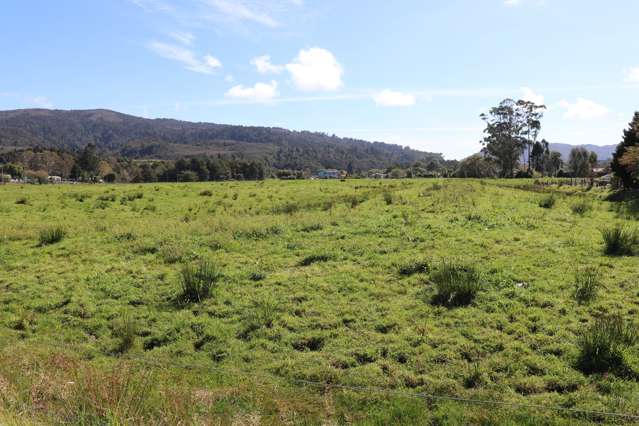 Broome Street Seddonville_2