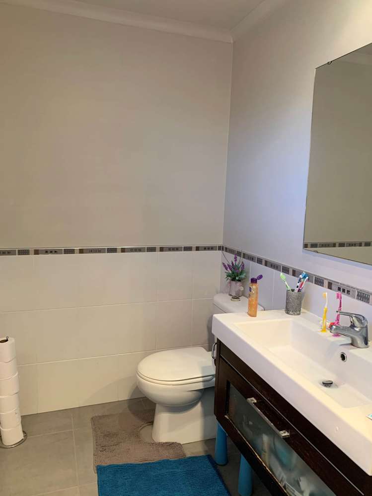 47 Mandival Avenue Flat Bush_6