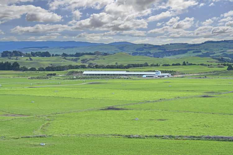 500 Willowford Road Waiwhare_31