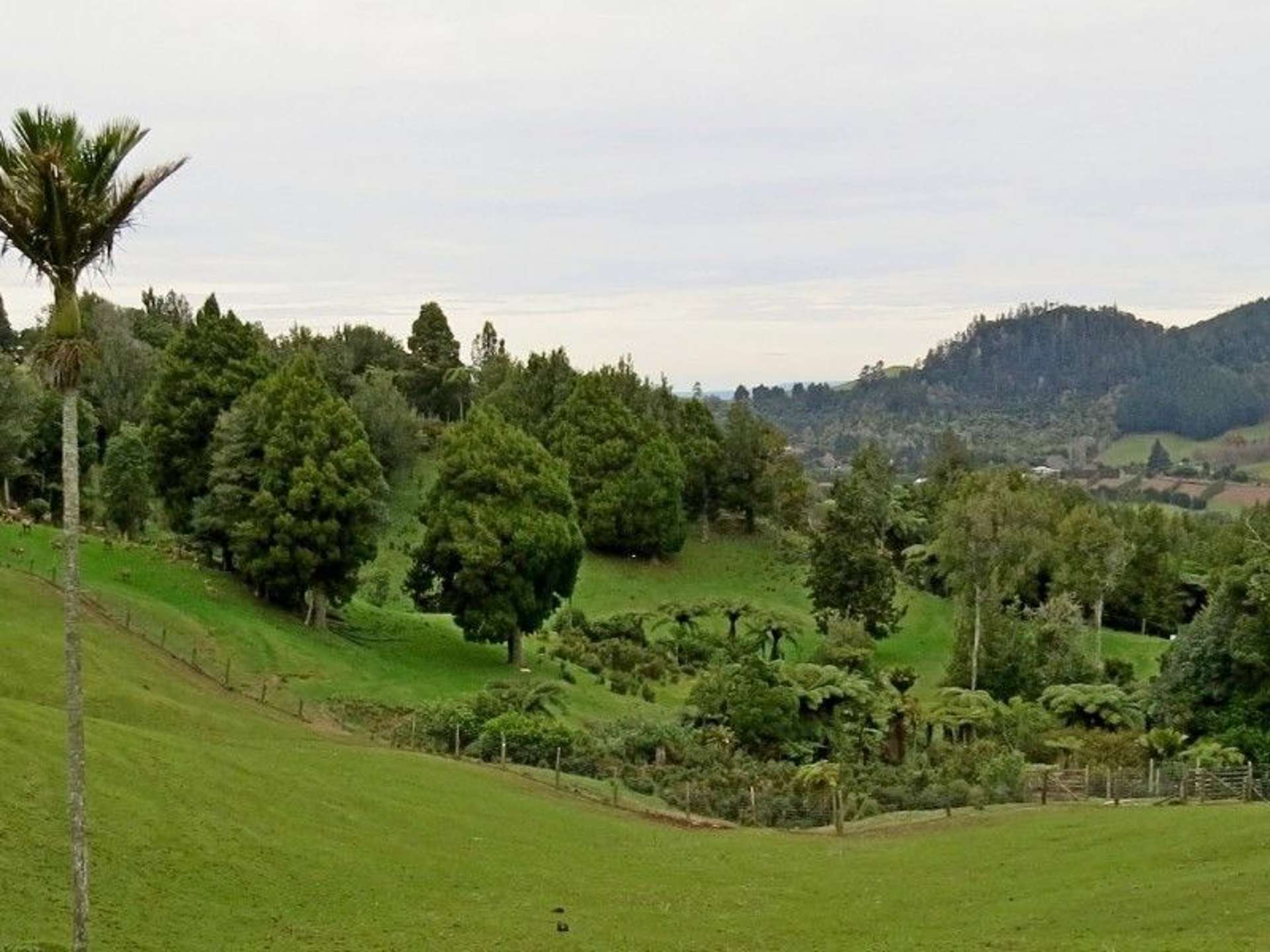 747a No 4 Road Te Puke_0