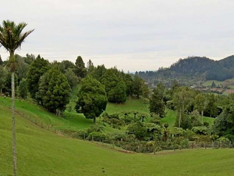 747a No 4 Road Te Puke_0