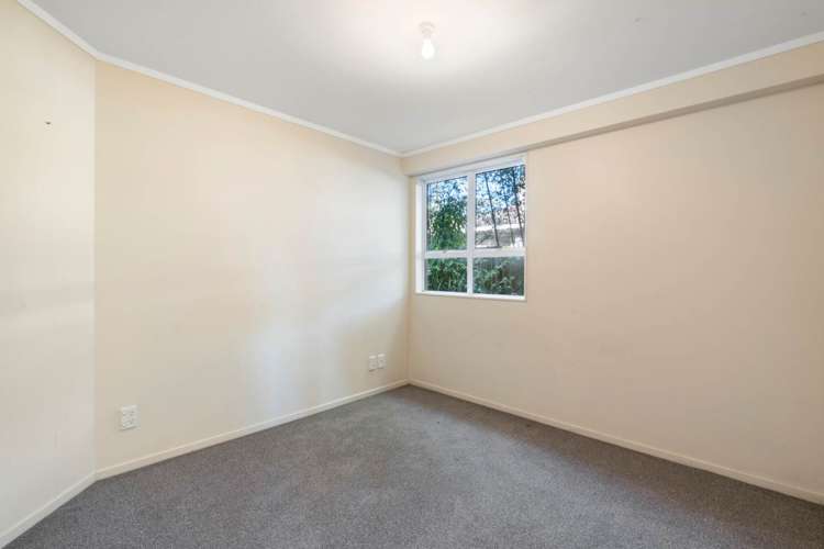 244 Forrest Hill Road Forrest Hill_15