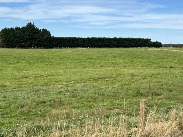 55 McKellar Road Seaward Bush_4