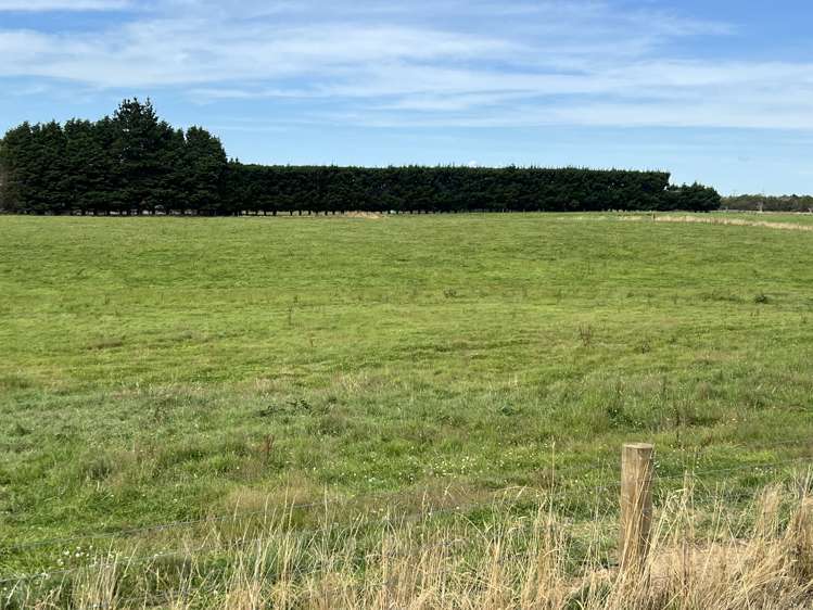 55 McKellar Road Seaward Bush_4