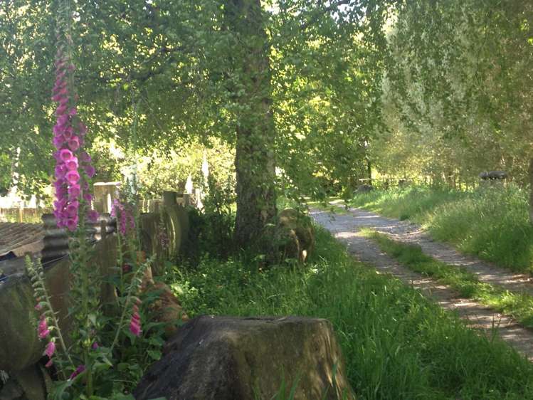 19 Turner Road Hamurana_30