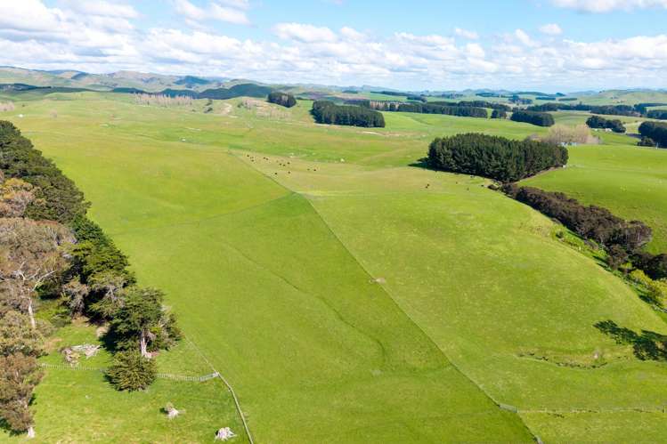 558 Pukeatua Road and 235 Otope Road Dannevirke_2
