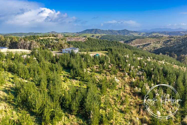 367 Arcadia Road Paparoa_35