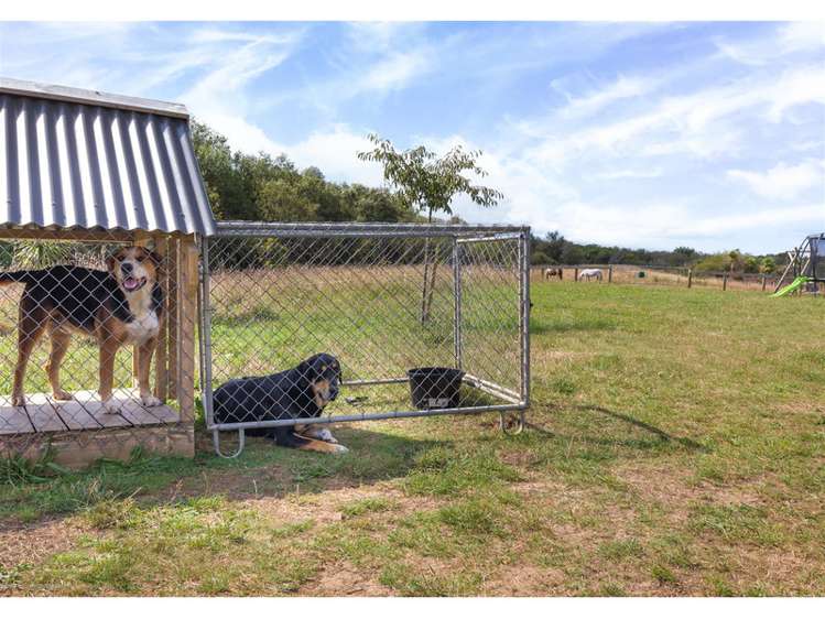 1108 Churchill Road Pukekawa_7