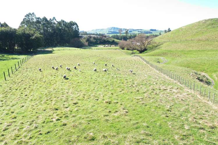 Lot 1and2 324 Homewood Road Waipawa_6