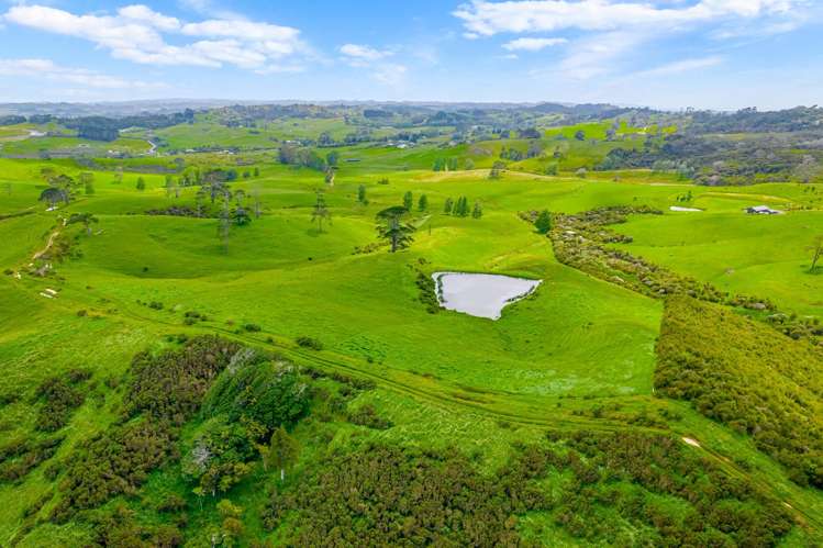 515 Kahikatea Flat Road Waitoki_10