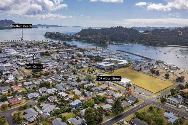 107 Albert Street Whitianga_1