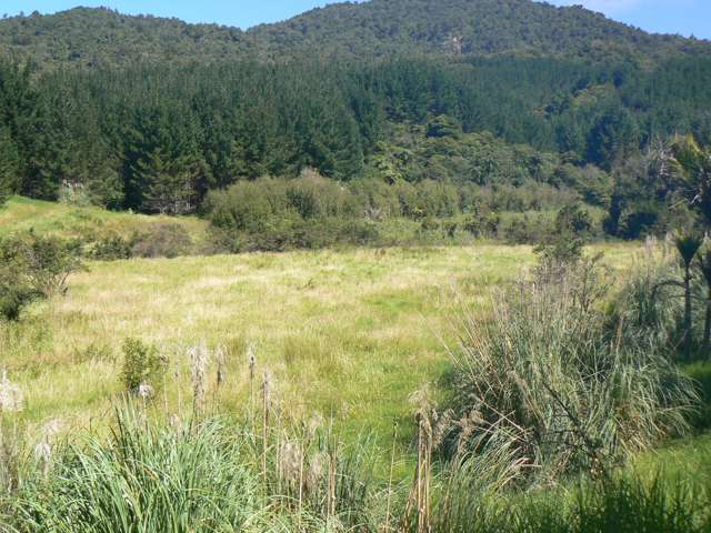 Takahue Saddle Rd Broadwood_1